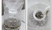 How to Make an Easy Wasp Trap DIY! Recycle water bottles!