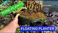 How to plant a FLOATING POND PLANTER - Best Pond Plants