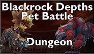 Blackrock Depths Pet Battle Dungeon Challenge Mode Guide