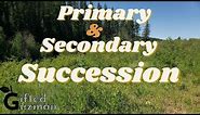 Primary and Secondary Succession