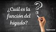 ¿Cuál es la FUNCIÓN del HÍGADO?