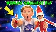 Worlds Smallest Elf on the Shelf + Hide and Seek with Tiny Elves