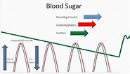 Food and Your Blood Sugar -- Lantus and Novolog - Diabetes Center for Children at CHOP