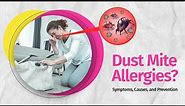 What are Dust Mite Allergies? Symptoms, Causes, Triggers and Prevention
