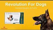 Revolution For Dogs -- General Queries & Facts