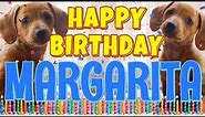 Happy Birthday Margarita! ( Funny Talking Dogs ) What Is Free On My Birthday