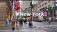 NYC Walking Tour 5th Avenue - New York Manhattan City