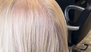 Golden blonde hair in to Ash blonde hair creating texture and movement with curls. #hair #movment #blondes #bob #westhoughton #alfaparf #salonfocus | Lavish Hair and Beauty by Caroline Darby