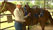 How to Saddle a Horse Western Style