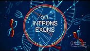 Genetics in 60 seconds: Introns and Exons