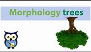 Morphology trees