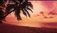 🌴 Peaceful Sundown over Palm Tree Beach | Sunset Scene with Ocean Sounds for Sleeping 2 Hours
