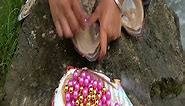 A special clam, with one side bright red and one side golden, showcasing different pearls