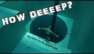Y40 - DEEPEST POOL IN THE WORLD till 2020 - Dream or nightmare?