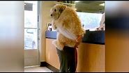 ANIMALS GO TO THE VET: Funniest REACTIONS - You'll LAUGH ALL DAY LONG