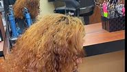 ♦️339 Smith Street 📍Perth Amboy, New Jersey ☎️ (732) 324-0012 ( Hablamos Espanol ) ♦️Make an Appointment♦️We Do All Types Of Hair #balayagehighlights #hairextension #hairstylist #hairsalon #haircolorist #highlightshair #middlesexcountynj #perthamboynewjersey #keratintreatment #mastercolorist #haircolor #highlights | Design Hair Salon