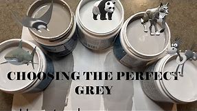 How to choose the PERFECT GREY Wall Paint - Flannel Grey " MY GLAM LAUNDRY ROOM SERIES"