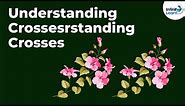 Genetics - Understanding Crosses - Lesson 6 | Don't Memorise
