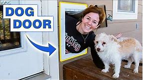 DIY Dog Door | Easily Install a Dog Door In a Wall
