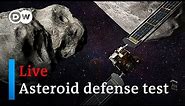 Watch live: NASA's DART first-ever test of planetary defense with Asteroid Dimorphos | DW News