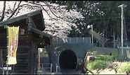 Japan landscape - Makoto Shinkai style animation video-AnimeGANv3