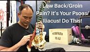 Low Back/Groin Pain? It’s Your Psoas/Iliacus! Do This! | Dr Wil & Dr K