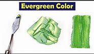 Evergreen - How To Make Evergreen Color - Mix Acrylic Colors