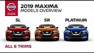 2019 Nissan Maxima Sedan Walkaround & Review