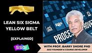 Lean Six Sigma Yellow Belt | What is Yellow Belt Certification? [Lean Six Sigma for Beginners]
