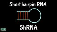 Short Hairpin RNA | shRNA | shRNA & Gene silencing |