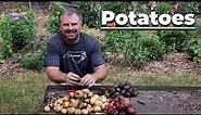 How to Grow Potatoes in Grow Bags
