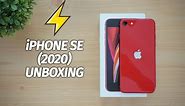 iPhone SE 2020 Unboxing (Product RED), Hands on, Camera Samples