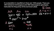 How to calculate allele frequency?