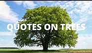 Best Inspirational Quotes About Trees | Quotes On Importance Of Trees | Save Tree Quotes In English