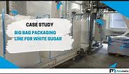 Big bag filling - FlowMatic® 04 - White sugar packing line | Palamatic Process Inc.