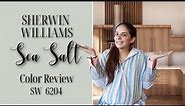 Sherwin Williams Sea Salt SW 6204 Color Review