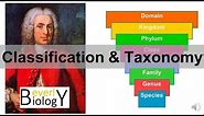 Classification and Taxonomy