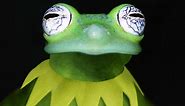 REAL frog becomes KERMIT THE FROG!