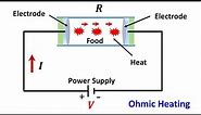 Ohmic Heating of Foods: Basic Understanding