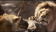 Mufasa Saved Simba Scene | THE LION KING | Movie Scene (2019）