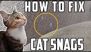 How To Fix Cat Snags