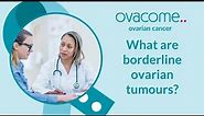 What are borderline ovarian tumours?