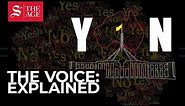 Voice to Parliament referendum: explained
