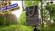 Best Cellular Trail Cameras You can Buy Right Now [2024]