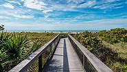 Venice Florida - Things to Do & Attractions in Venice FL