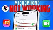 How to Fix Microphone Not Working on Facetime Issue on iPhone