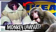 What Was The Ikea Monkey Incident? - The Lawsuit Behind A Monkey Meme