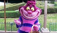 Cheshire Cat Meet & Greet at Disneyland Paris Halloween Festival 2019 - Alice In Wonderland
