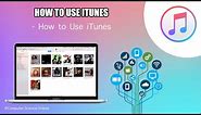 HOW TO USE ITUNES ON A MAC - BASIC TUTORIAL | NEW