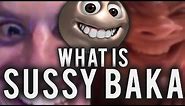 What Is "Sussy Baka"? - Among Us Memes